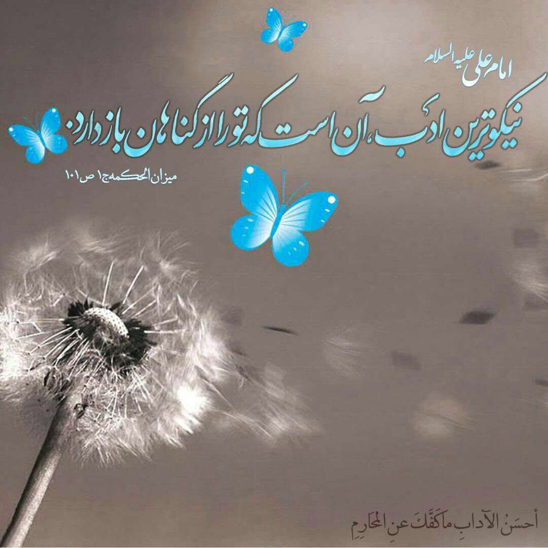 حدیثی از امام علی در مورد نیکوترین ادب
